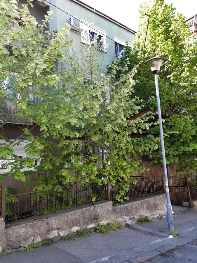 Victor Residence Βελιγράδι Εξωτερικό φωτογραφία